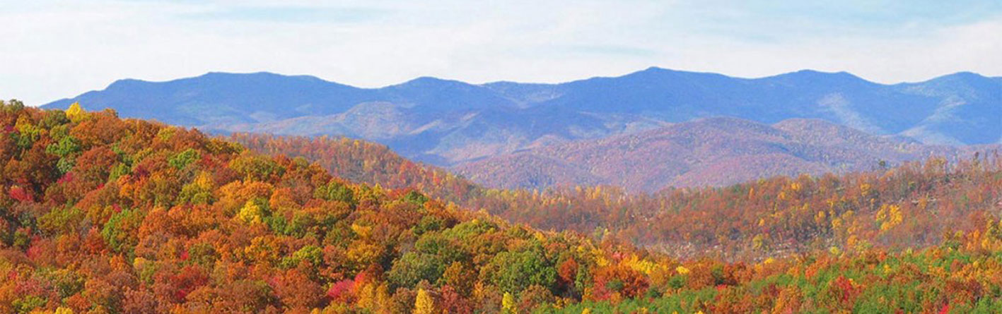 Land for Sale in North Carolina