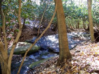 Stream in North Carolina on acreage